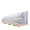 10' x 30' Lean-To Greenhouse Grow Tent w/6 Mil Clear EVA Plastic Film, Cold Frame, Hand Crank Roll-Up Side, 6-½' Sidewall, TMG-GHL1030