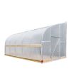 10' x 20' Lean-To Greenhouse Grow Tent w/6 Mil Clear EVA Plastic Film, Cold Frame, Hand Crank Roll-Up Side, 6-½' Sidewall, TMG-GHL1020