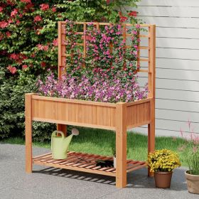 Raised Garden Bed with Trellis Wooden Elevated Planter Box with Legs