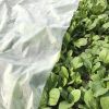 Floating Row Covers Frost Cloth for Freeze Protection, Winter Garden Frost Cover for Plants